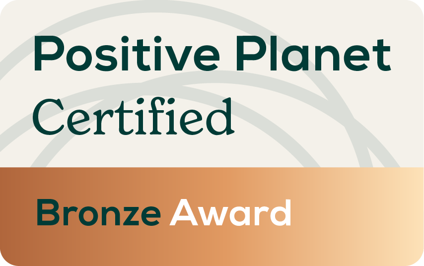 Bronze Award
